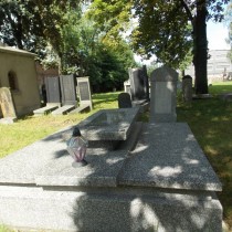 Sosnowiec Cemetery2016-21.JPG